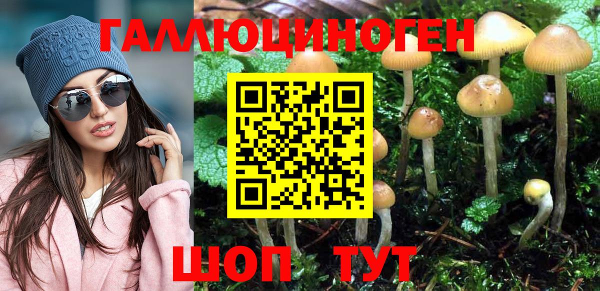 Галлюциногенные грибы GOLDEN TEACHER Алатырь
