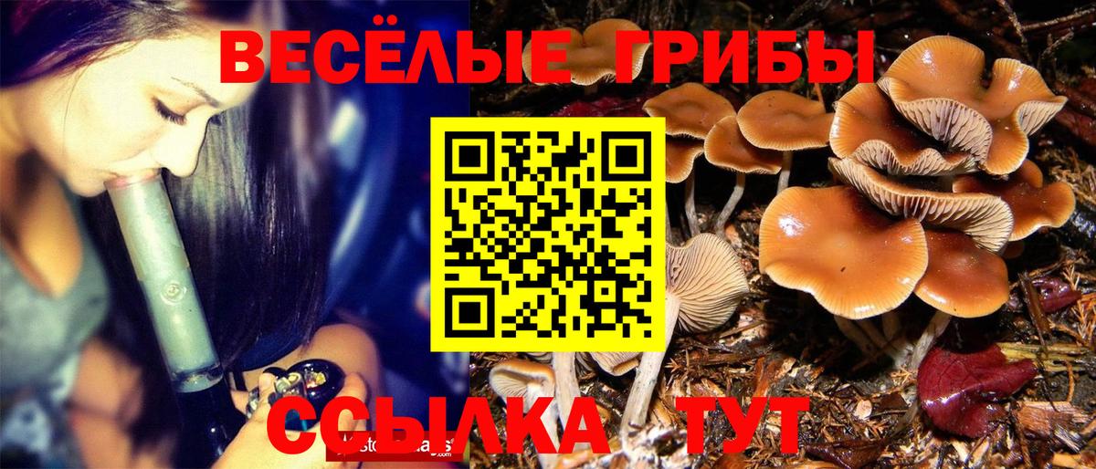 Алатырь  Псилоцибиновые грибы ЛСД  Вход с VPN 